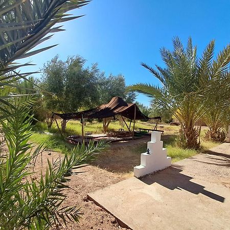 Jardin Du Desert M'Hamid Exterior photo